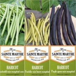 Collection De 3 Haricots Colorés Et Productifs BIO - Ferme De Sainte-Marthe